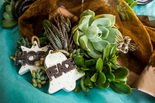 Ekologiska gödningsmedel hemma